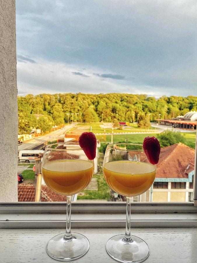 Apartmani Banja Spa Vrnjačka Banja Exteriér fotografie